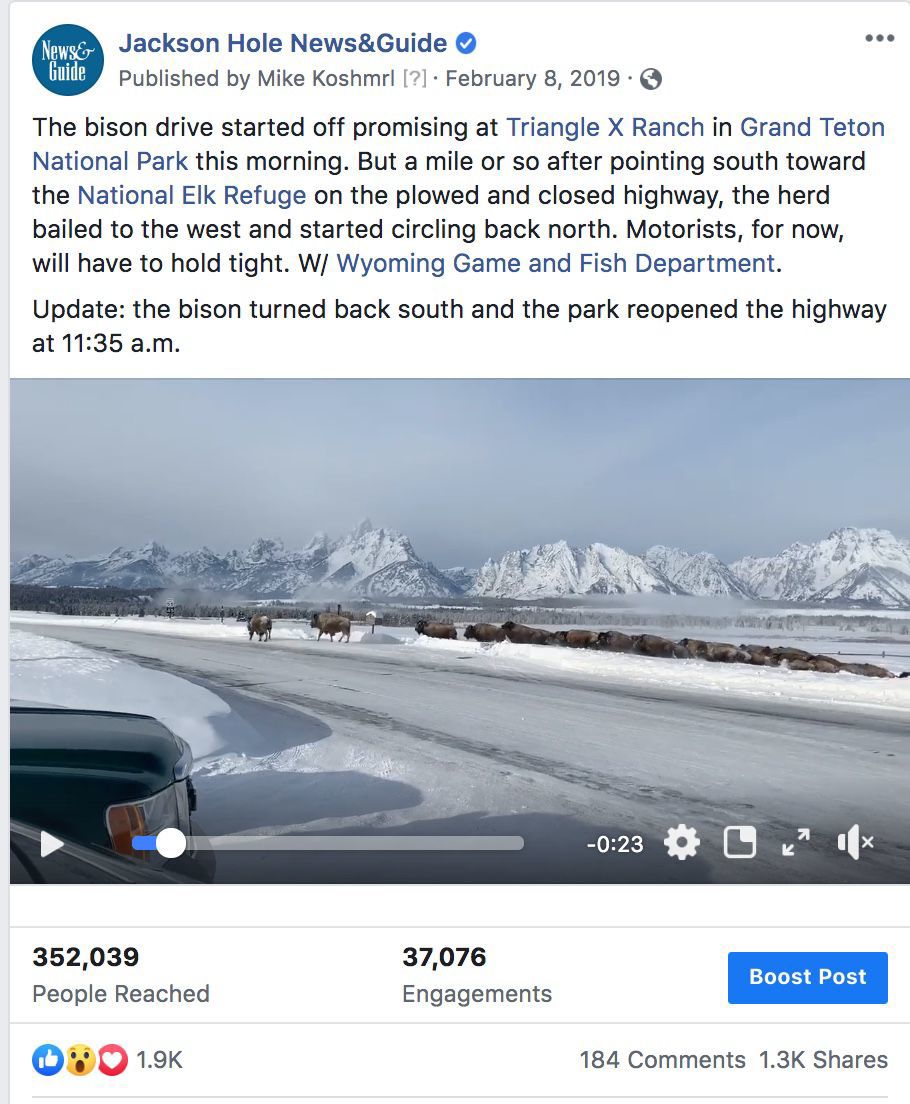 Bison drive video reaches large audience